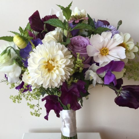 British grown flowers - Young Blooms