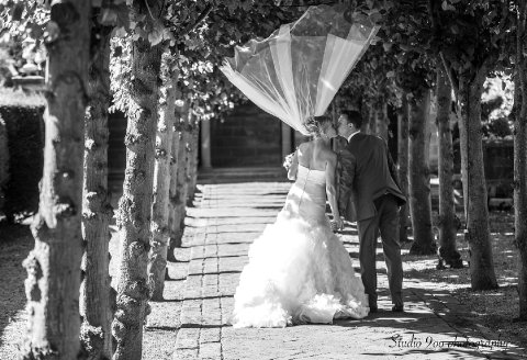 Wedding Photographers - Studio 900 wedding photography-Image 34464