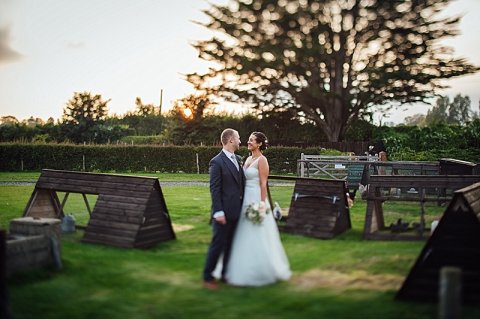 Chickens! - Old Oak Farm Wedding Venue