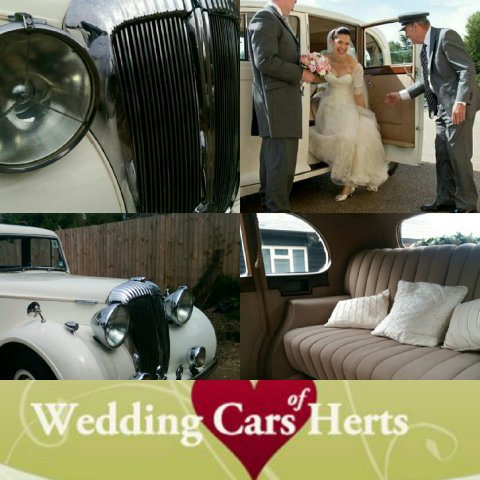 Wedding Cars - Wedding Cars Of Herts-Image 17880