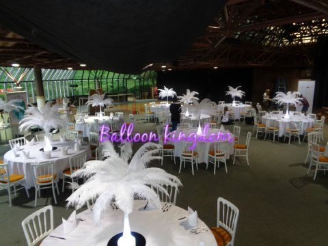 Ostrich feather centerpiece hire - Balloon and party Kingdom