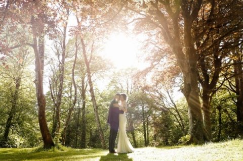 Wedding Reception Venues - Fairyhill by Oldwalls -Image 43997