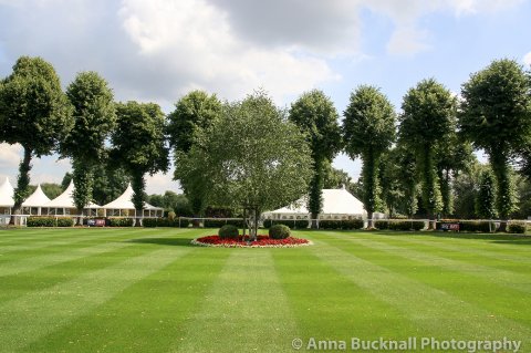 Outdoor Wedding Venues - Royal Windsor Racecourse - Conference and Events-Image 29372