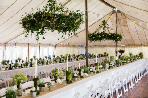 Ceiling rings - Get Knotted