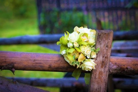 Honeymoons - My Cool Holiday-Image 40259