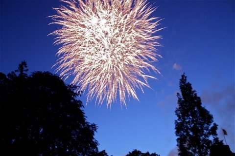Wedding Fireworks Displays - Phoenix Fireworks Ltd-Image 29132