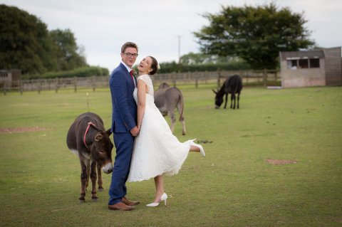 Wedding Ceremony Venues - The Donkey Sanctuary-Image 13568