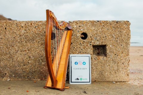 Wedding Music and Entertainment - 2 of Harps-Image 47602