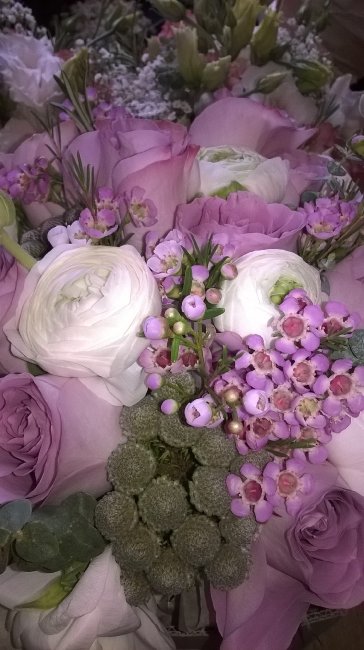 Pinks - Garlands Florist