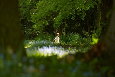 Wedding Photo Albums - Photography by Suzanne Fossey-Image 43667