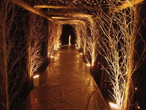 Uplighter at one of our events - Sliding Vinyl