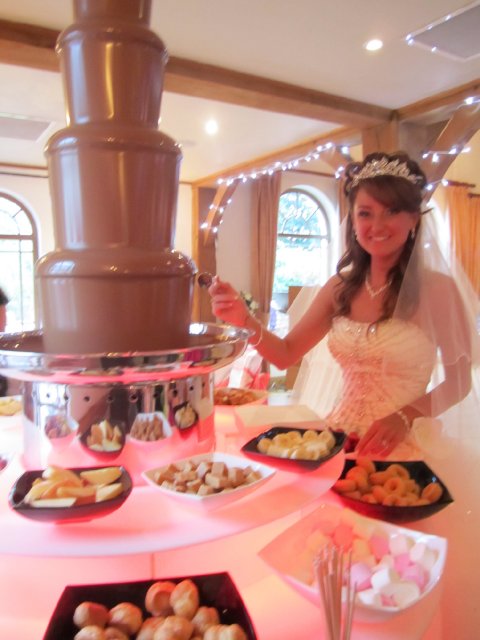 Wedding Chocolate Fountains - Welsh Chocolate Fountains-Image 21866