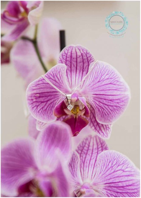 Wedding Video - Nikki Kirk Photography-Image 15986