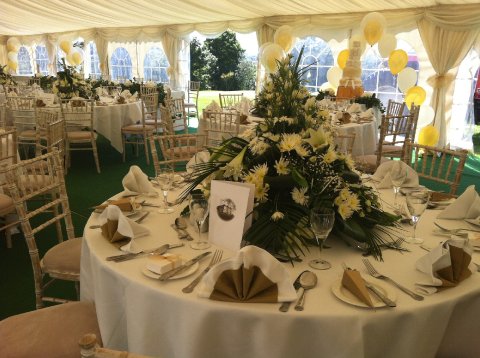 Wedding Ceremony and Reception Venues - Tewkesbury Park-Image 8656