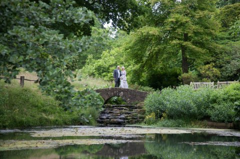 The water garden - Wakehurst 