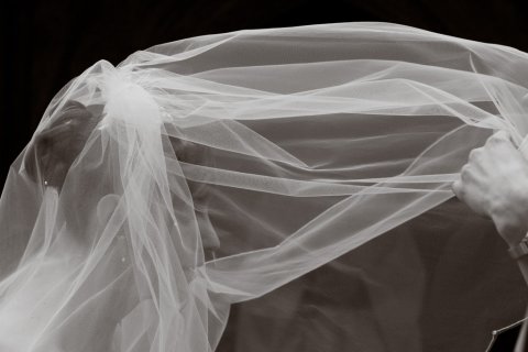 Wedding Photographers - Photography by David Morphew-Image 7005