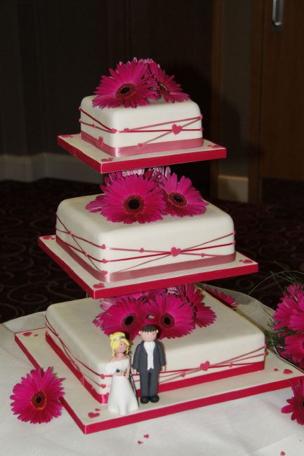 Wedding Cakes - 'Pan' Cakes-Image 4077