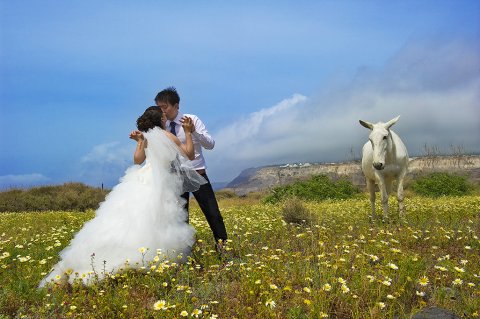 Wedding Photographers - Eleni Labiri Photography-Image 13646
