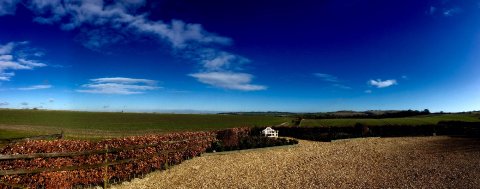 Wedding Reception Venues - Wellington Barn -Image 24330