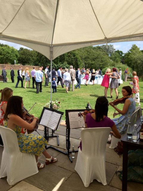 Wedding Discos - MILWARDS HOUSE-Image 31927