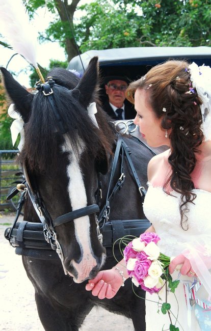 Wedding Reception Venues - The Bower Inn Ltd-Image 12671