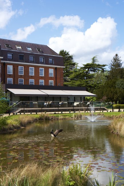 Pond and gardens - The Lensbury