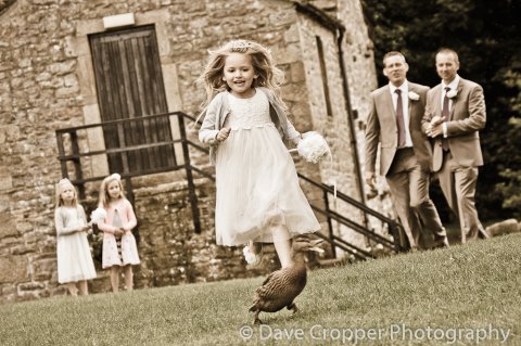 Bridesmaid chasing duck. - Dave Cropper Photography