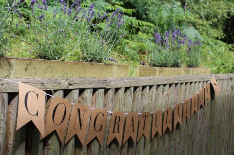 Wedding Ceremony and Reception Venues - Forever Green-Image 14605