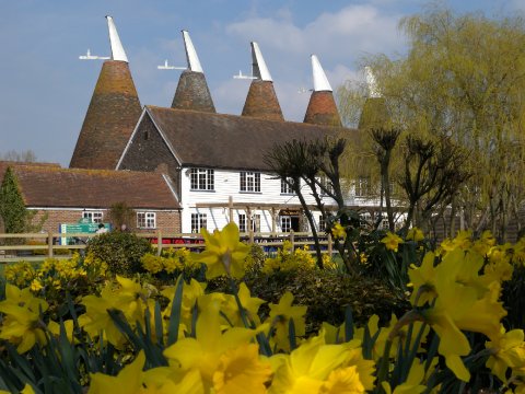 Wedding Ceremony and Reception Venues - The Hop Farm-Image 10120
