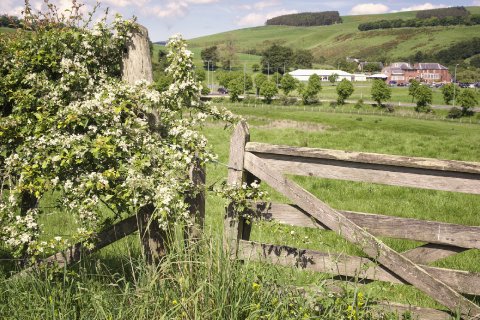 Stunning Carfraemill landscape - Carfraemill Lodge