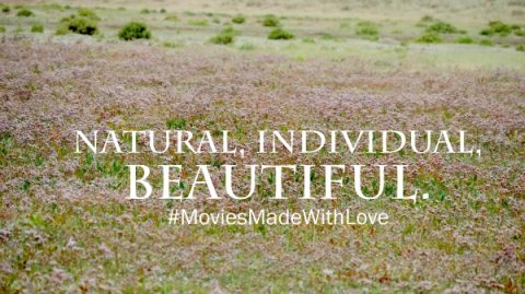 Wedding Video - ryandevine.co.uk-Image 39998