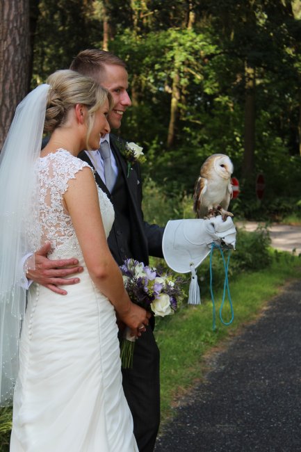 Wedding Ceremony and Reception Venues - Forever Green-Image 14620