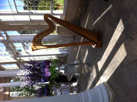 Wedding at Syon House, Richmond - Harriet Adie = Harpist