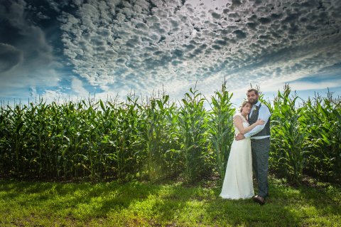 Corn Fields - Anthony Ball Photography