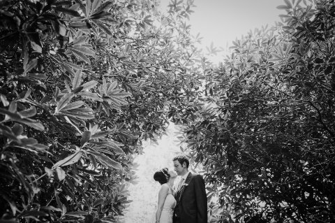 Wedding Photographers - Mona Ali Photography-Image 8196