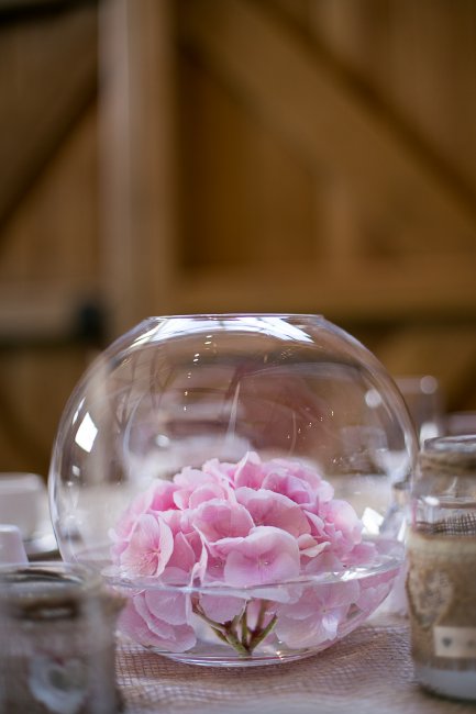 Wedding Photographers - Viktoria Kuti Photography-Image 19126