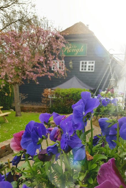 Wedding Reception Venues - The Plough & Barn at Leigh Ltd-Image 24776