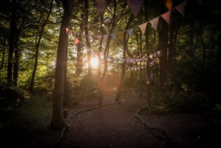 Woodland Weddings Ltd