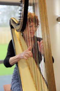 Audrey Cameron Finnemore Harpist