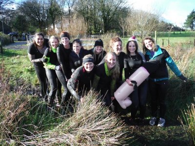 Shaggy Sheep Wales Adventure