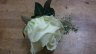 Rose buttonhole.jpg